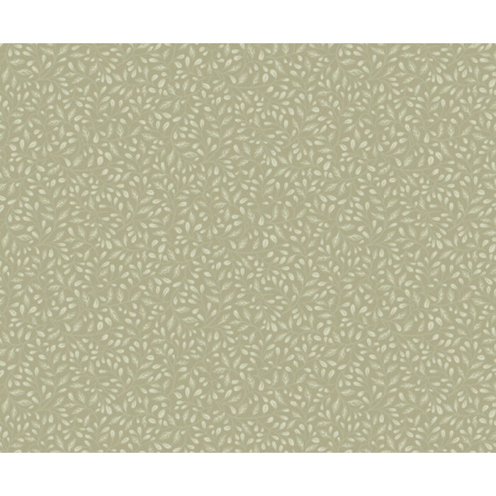 Langenas - Adam Olive green