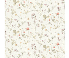 Langenas - Julia White