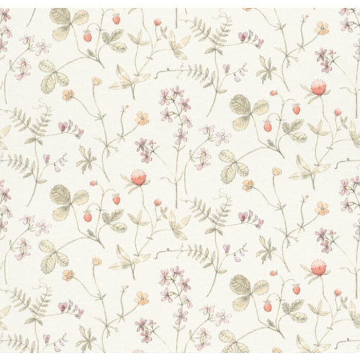 Langenas - Julia White