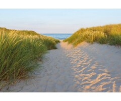 Fotobehang Sandy Path