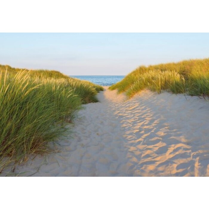 Fotobehang Sandy Path