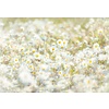 Fotobehang Daisies