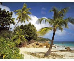 Fotobehang Praslin