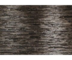 Fotobehang Birkenrinde