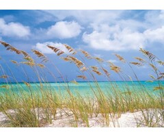 Fotobehang Ocean Breeze