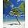 Fotobehang Ari Atoll