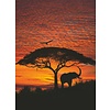 Fotobehang African Sunset