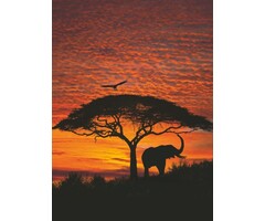Fotobehang African Sunset