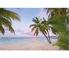 Fotobehang Paradise Morning