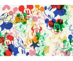 Into Wonderland – Disney Mickey and Minn