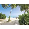 FOTOBEHANG ST HEFELE PALMY BEACH