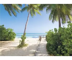 FOTOBEHANG ST HEFELE PALMY BEACH