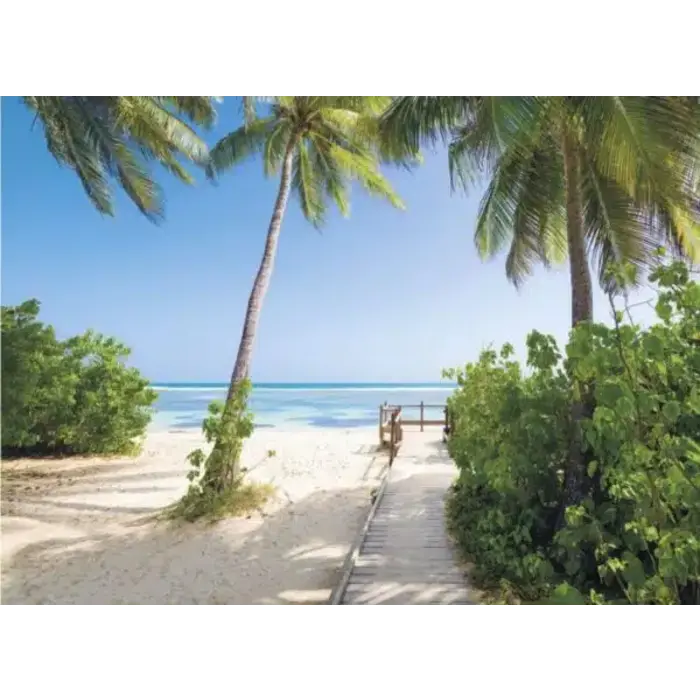 FOTOBEHANG ST HEFELE PALMY BEACH