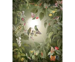 Fotobehang Wildlife Birds