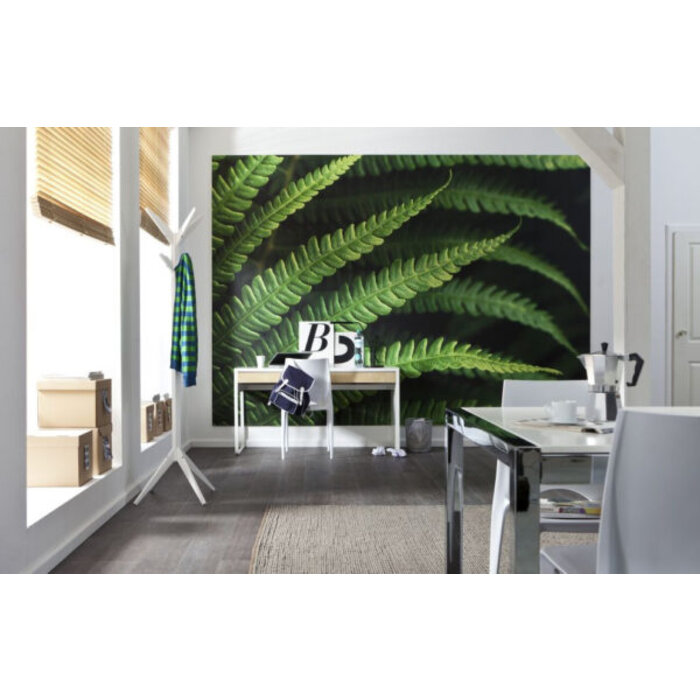 Fotobehang Farn