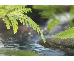 Fotobehang Along the River