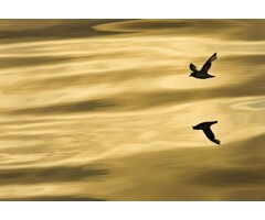 Fotobehang Reflection