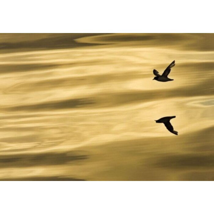 Fotobehang Reflection