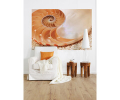Fotobehang Nautilus