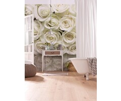 Fotobehang A la Rose