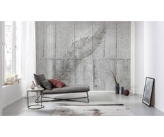 Fotobehang Concrete Feather