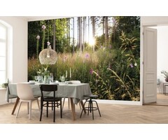 Fotobehang Summer Glade