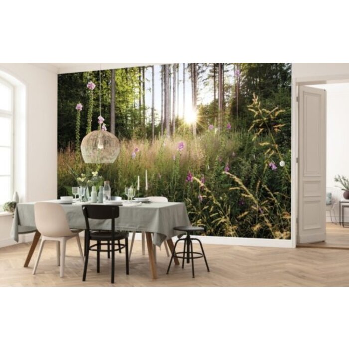 Fotobehang Summer Glade