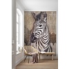 Fotobehang Zebra