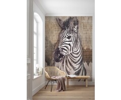 Fotobehang Zebra