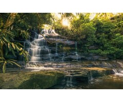 Fotobehang Golden Falls