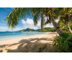 Fotobehang Strandoase Südsee