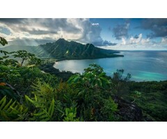 Fotobehang Jurassic Island