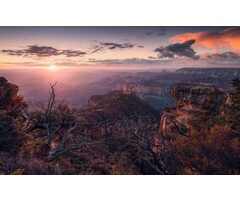 Fotobehang Grand View