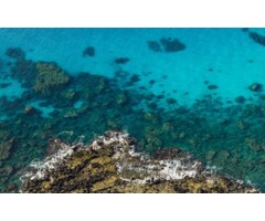 Fotobehang Bright Blue