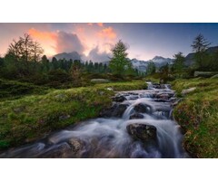 Fotobehang Wild Paradise