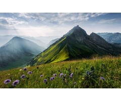 Fotobehang The Green Queen