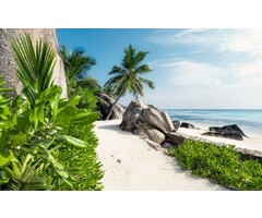 Fotobehang Tagträume