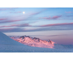 Fotobehang Purple Dinner