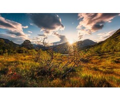 Fotobehang Norwegische Herbstwelten