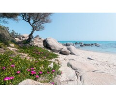 Fotobehang Mediterrane Träume