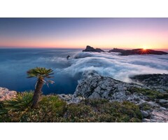 Fotobehang Island Paradise