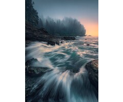 Fotobehang Cry of the Sea