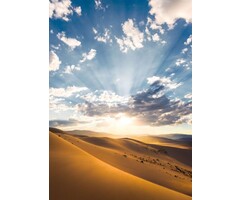 Fotobehang Wüstenmagie