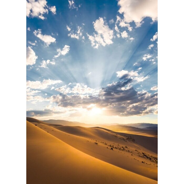 Fotobehang Wüstenmagie