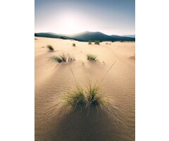 Fotobehang Vivid Dunes