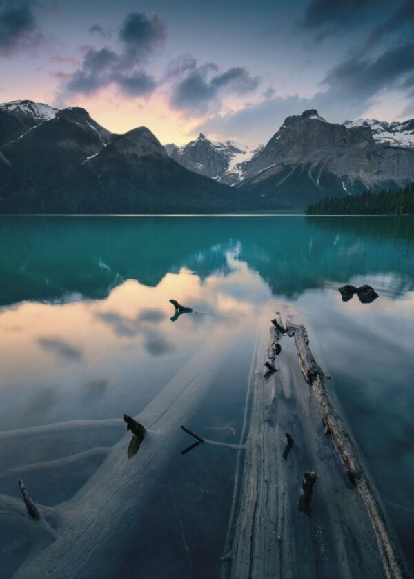 Fotobehang Burning Emerald