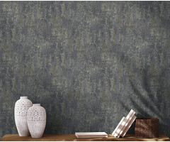 Arabesque - Austin Navy