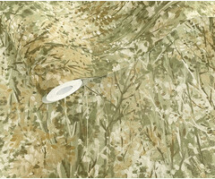 Arabesque - Verdant Sage