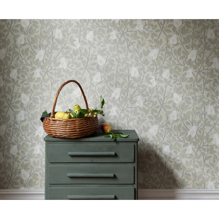 Angas - Pirum Beige