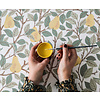 Angas - Pirum Yellow